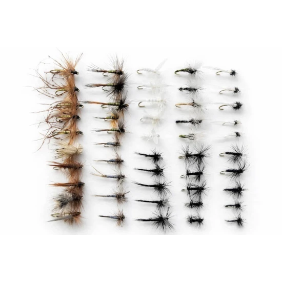 50 Dry Flies, Spring Summer Favourites