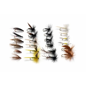 Match the Hatch: River Selection for June- 24 Flies