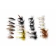 Match the Hatch: River Selection for June- 24 Flies