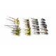 Match the Hatch: River Selection for May - 24 Flies