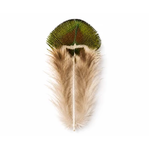 Peacock Gold Body feathers