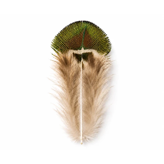 Peacock Gold Body feathers