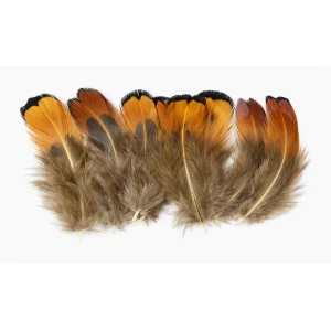 Cock Pheasant Gold Sides