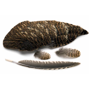 Woodcock Wings