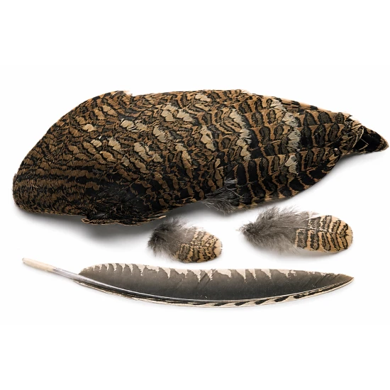 Woodcock Wings