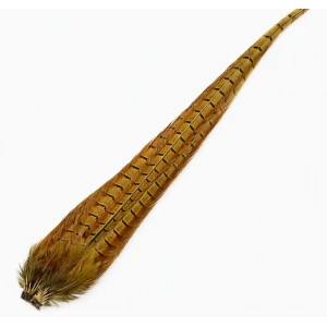 Cock Pheasant Complete Tail 