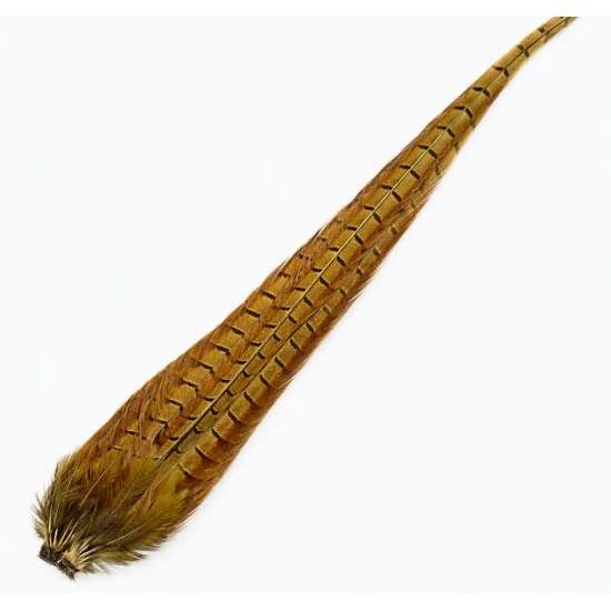 Cock Pheasant Complete Tail 