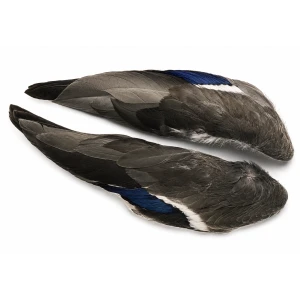 Mallard Duck Whole Wings