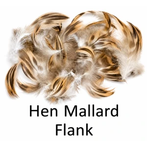 Mallard Hen Flank or Breast
