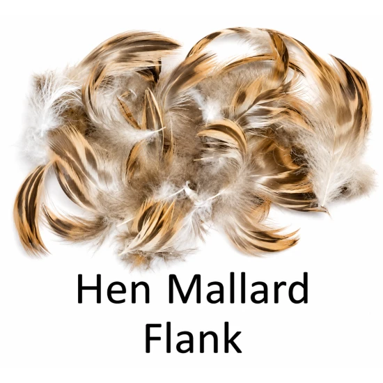 Mallard Hen Flank or Breast