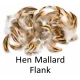 Mallard Hen Flank or Breast
