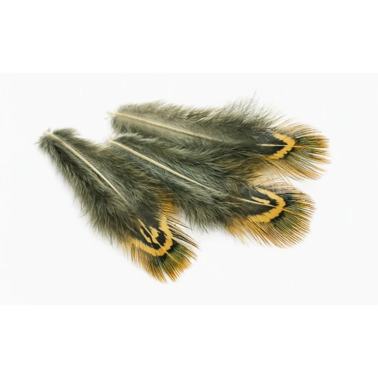Cock Pheasant Green Back Hackles