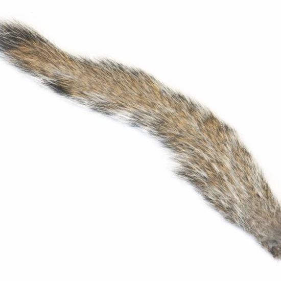 Grey Squirrel Tail - Natural