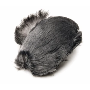 Jackdaw Scalp