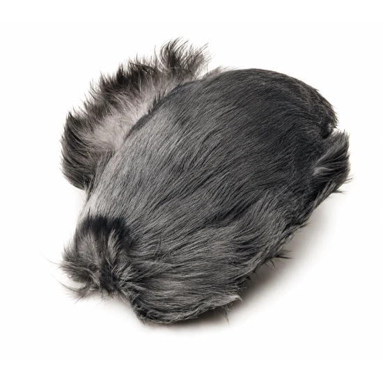 Jackdaw Scalp