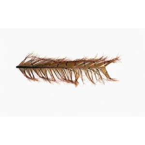 Cock Pheasant Knotted Tail feathers