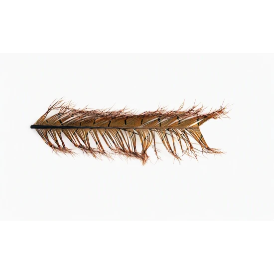 Cock Pheasant Knotted Tail feathers