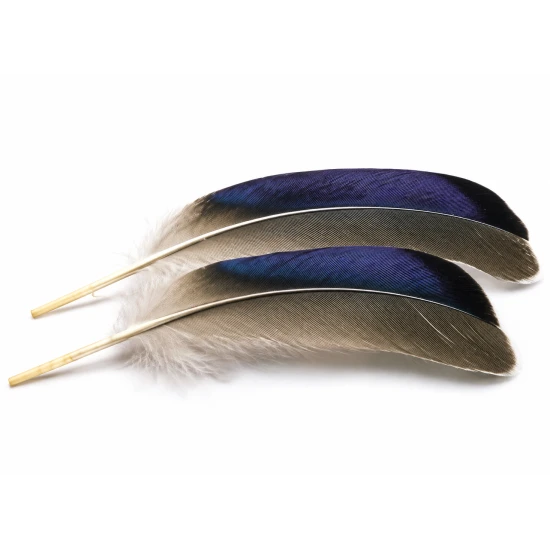 Mallard Wing Quills Butcher Blues 