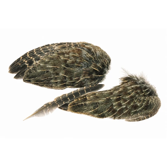 English Partridge Whole Wings