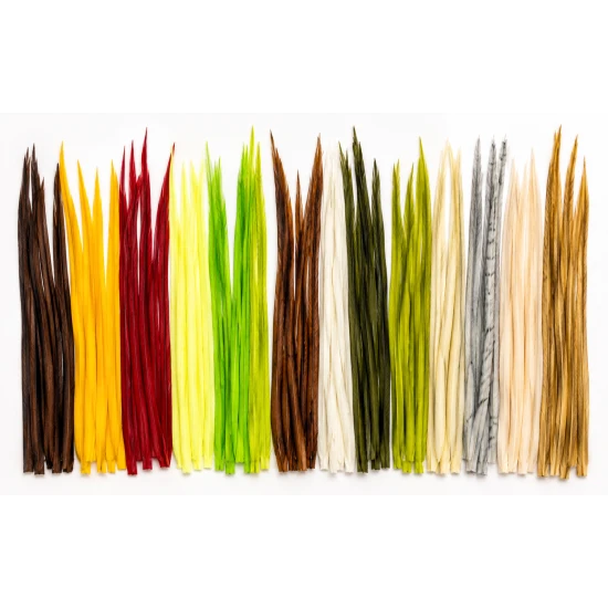 Turkey Biots