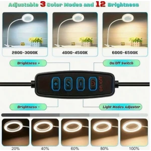 LED Magnifying Lamp With Clamp, 10X Magnifier