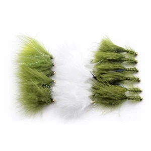 18 Cats,Dawsons & Flash Damsels