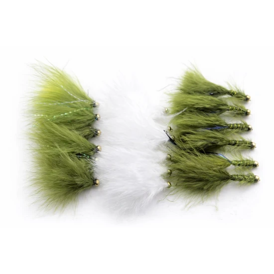 18 Cats,Dawsons & Flash Damsels