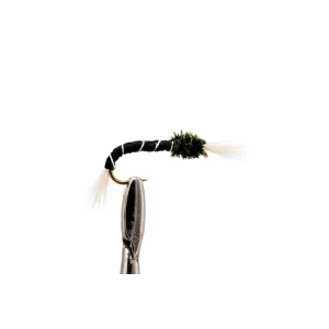 Black Standard Thoraxed Buzzer