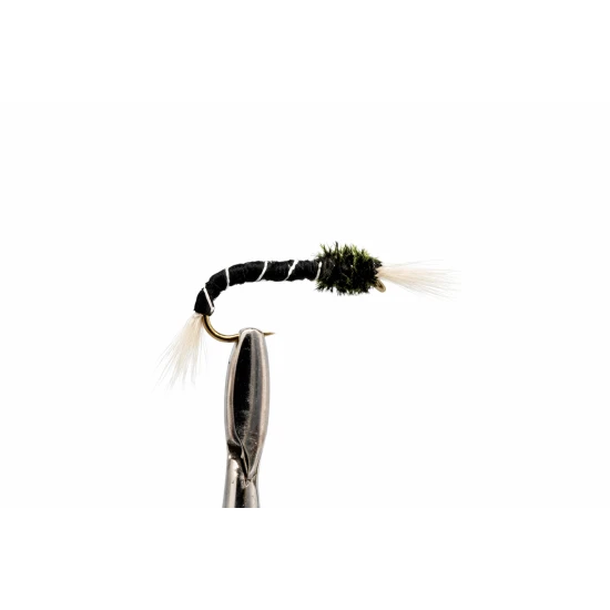 Black Standard Thoraxed Buzzer