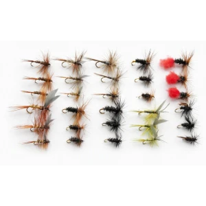 30 Drys, 10 Varieties, all named