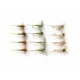 12 Barbless Dry Flies - Hatching Olive, Olive Dun & Kites Imperial