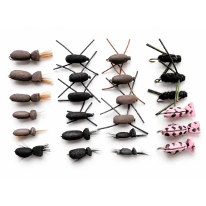 24 Mixed beetles