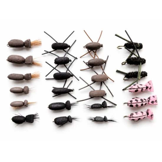 24 Mixed beetles