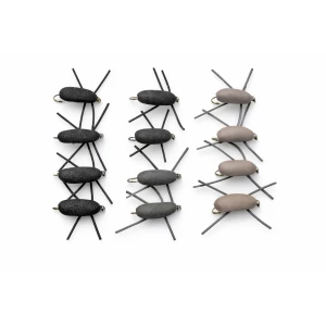 12 Mixed Gum Beetle