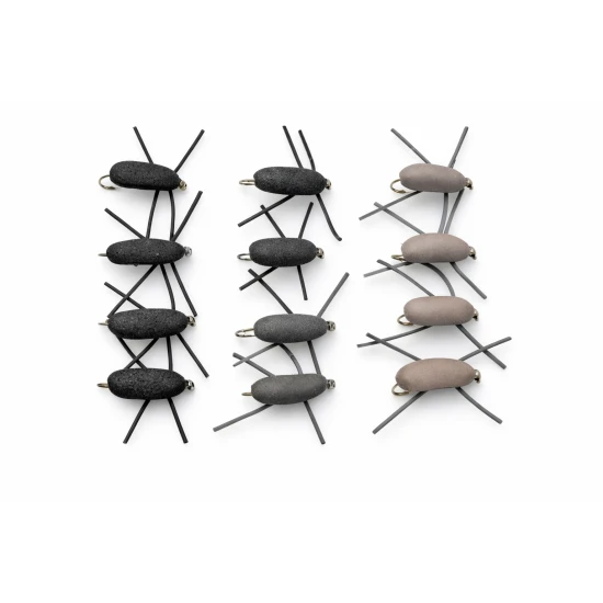 12 Mixed Gum Beetle