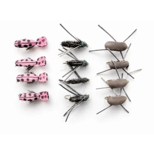12 Beetles, Peacock,Pink Lady, Brown Gum
