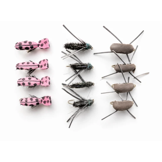 12 Beetles, Peacock,Pink Lady, Brown Gum