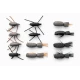 12 Barbless Beetles, Standard & Gum Beetles
