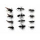 12 Dry Flies - Griffiths Gnat, Alder & Traditional Ant