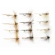 12 Dry Flies - Grey Duster, Adams, & Kites Imperial