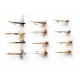 12 Dry Flies -Tups, Kites Imp, Ginger Quill