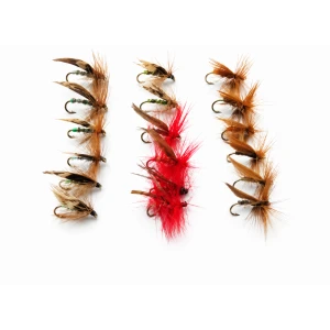 18 Sedge, 5 Varieties