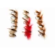 18 Sedge, 5 Varieties