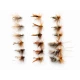 18 Sedge Dry, 6 Varieties
