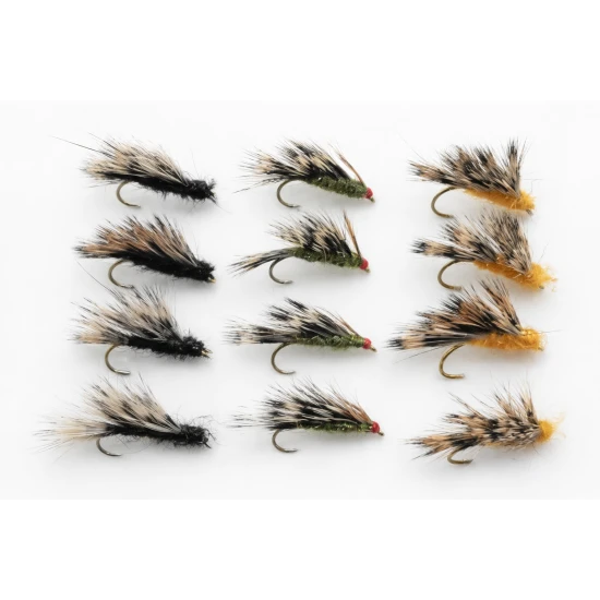 12 Sedgehogs - Black, Olive & Orange