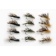 12 Sedgehogs - Black, Olive & Orange