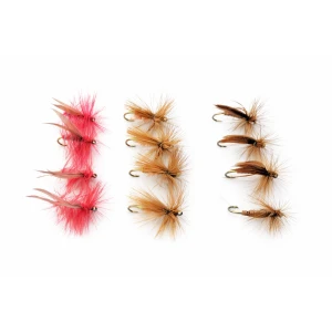12 Sedge Dries, Great Red, Walkers and Cinnamon