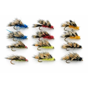 12 Mixed Sedgehogs AKA Halfhogs