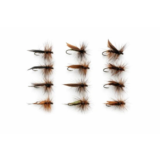 12 Sedge Dries, Olive Silver and Brown