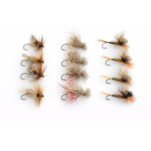 12 Sedge and Tilt Wing